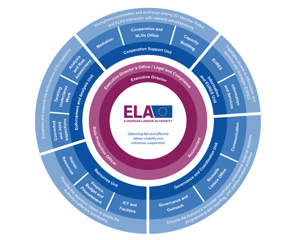 Organizational chart
